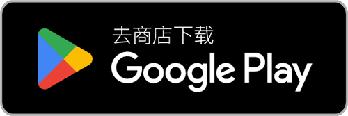 去商店下载 Google Play